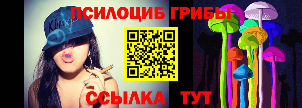Галлюциногенные грибы GOLDEN TEACHER  как найти закладки  Кировск  Вход с VPN 